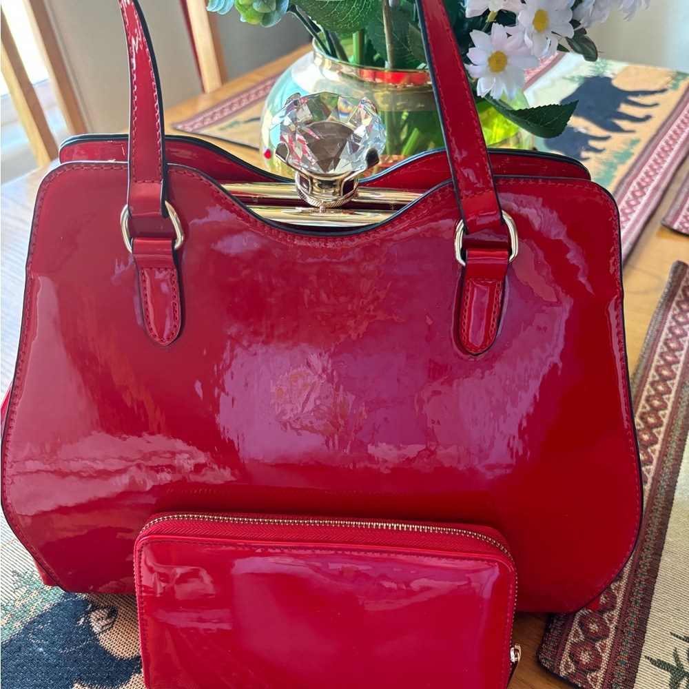 Hand bag and wallet combo. EUC